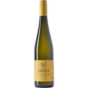 Petra Unger Riesling Hinters Kirchl 2019 0,75l 13%