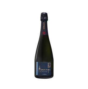 Henri Giraud Hommage au Pinot Noir 12,0% 0,75 l