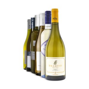 Výběr vín z odrůdy Chardonnay
