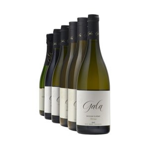 Výběr vín Vinařství Gala 2021