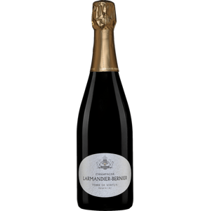 Champagne Larmandier Bernier Terre de Vertus Champagne Premier Cru 2017 Šumivé 12.5% 0.75 l