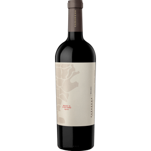 Casarena Naoki's Vineyard Malbec 2019 Červené 14.0% 0.75 l