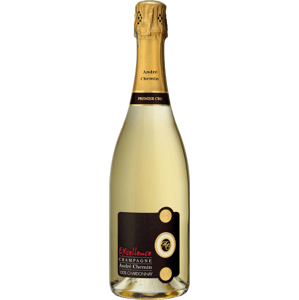 Champagne Andre Chemin Premier Cru Excellence Brut 2010 Šumivé 12.5% 0.75 l